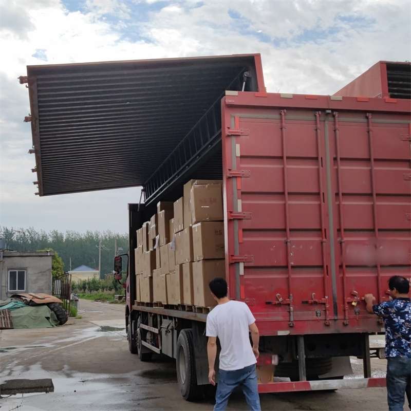 茌平区扎囊县：物流专线的高效货运之旅